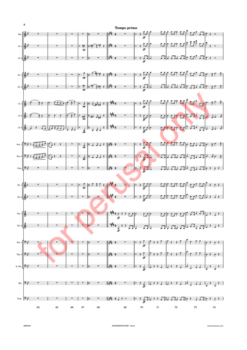 Beethoven, Siegessinfonie