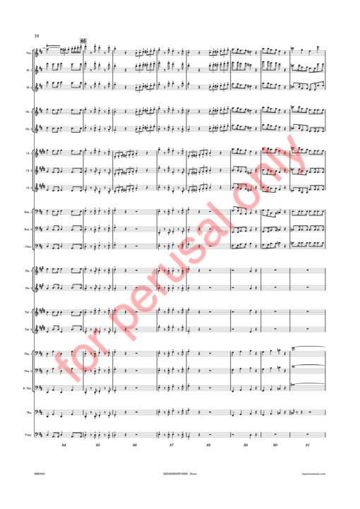 Beethoven, Siegessinfonie