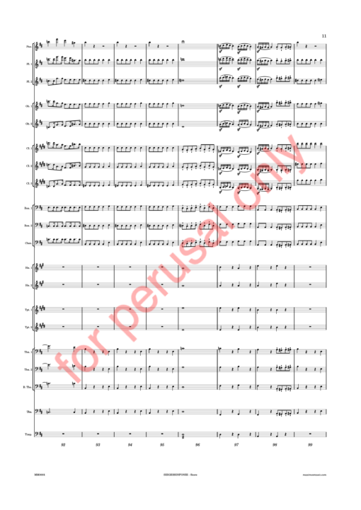 Beethoven, Siegessinfonie