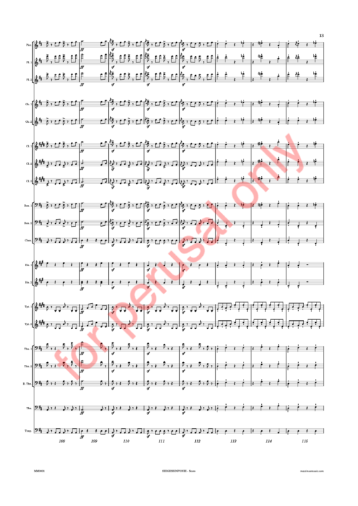 Beethoven, Siegessinfonie