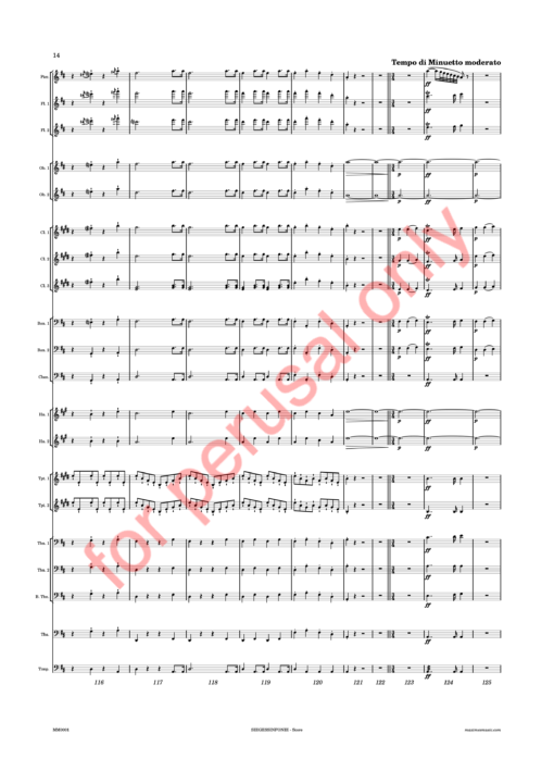 Beethoven, Siegessinfonie