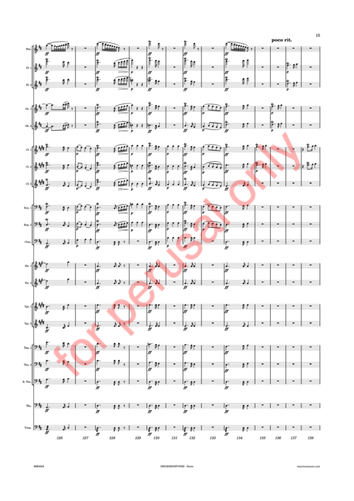 Beethoven, Siegessinfonie