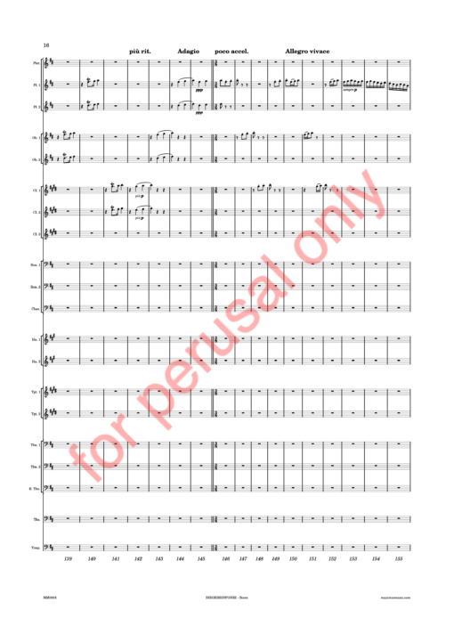 Beethoven, Siegessinfonie