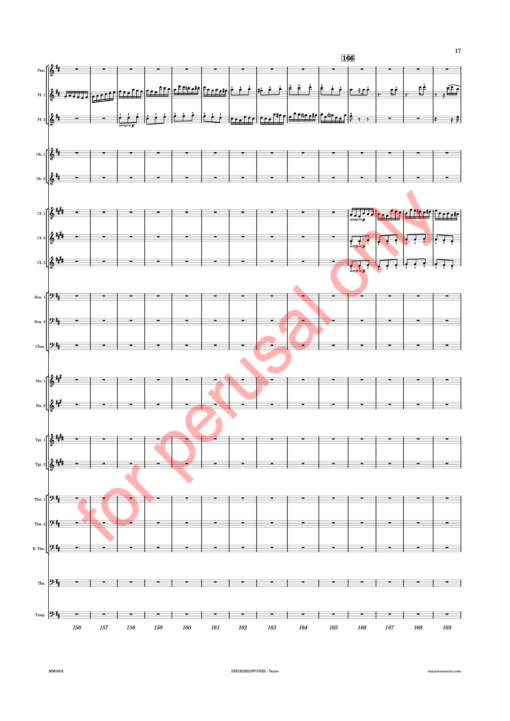 Beethoven, Siegessinfonie