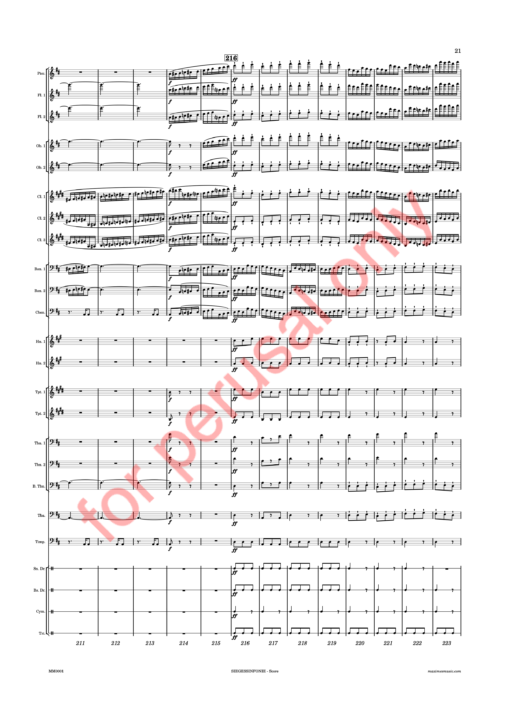 Beethoven, Siegessinfonie