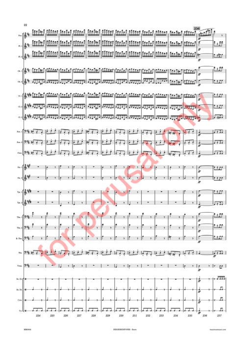 Beethoven, Siegessinfonie