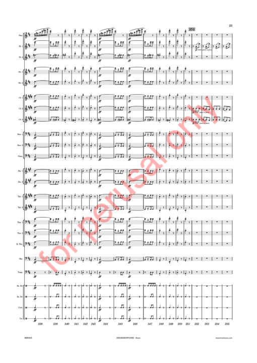 Beethoven, Siegessinfonie