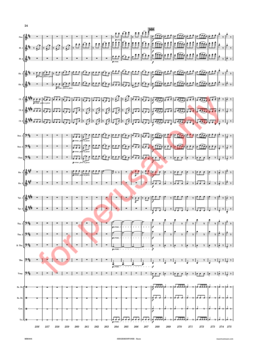 Beethoven, Siegessinfonie