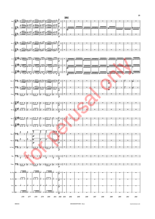 Beethoven, Siegessinfonie