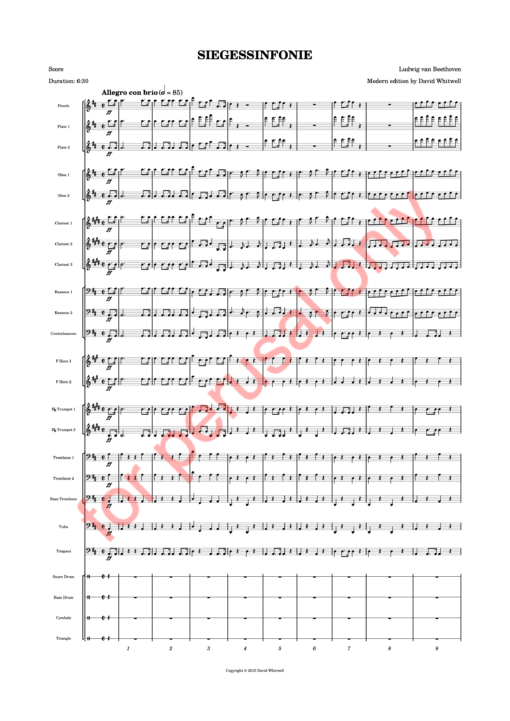 Beethoven, Siegessinfonie