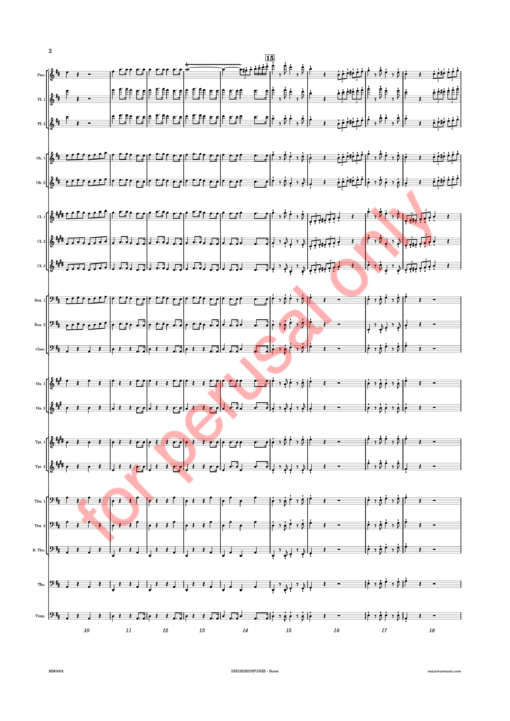 Beethoven, Siegessinfonie