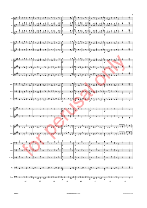 Beethoven, Siegessinfonie