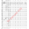 DW_symphonyII-score-WM-17 Whitwell, Symphony Nr. 2, "Sinfonia da Requiem"