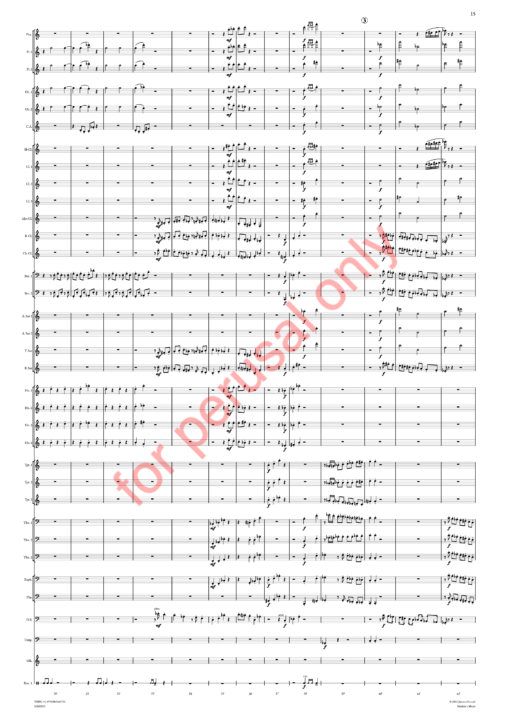 JS_Symphony No 4 - score WM-17 Sorcsek, Symphony No. 4