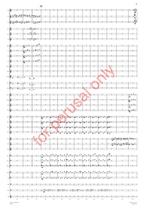 JS_Symphony No 4 - score WM-41 Sorcsek, Symphony No. 4