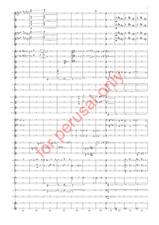 Sorcsek, Symphony No. 2