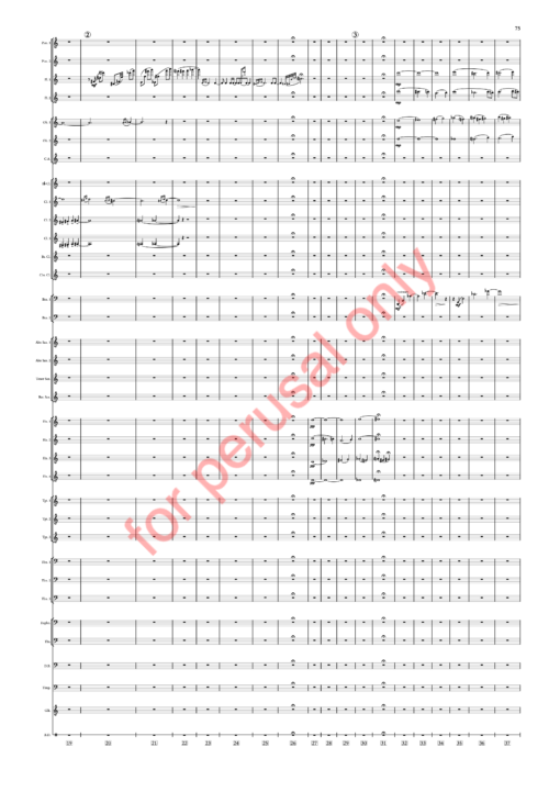 Sorcsek, Symphony No. 2