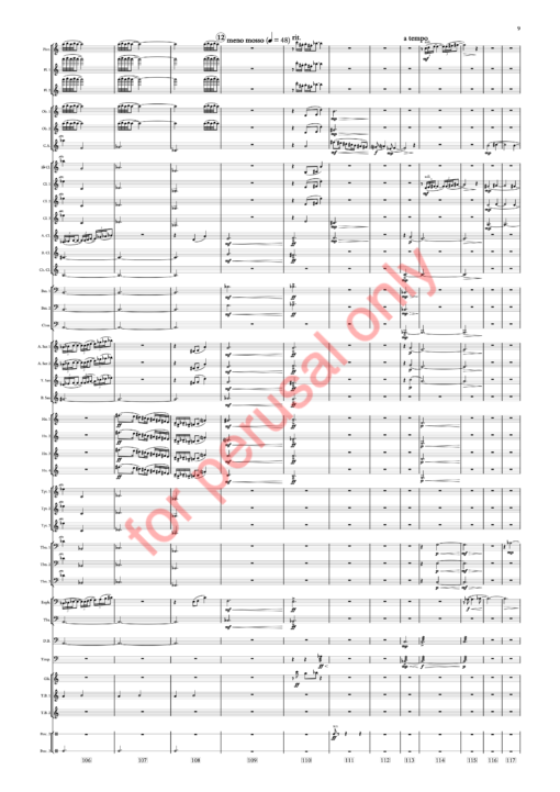 Sorcsek, Symphony No. 7