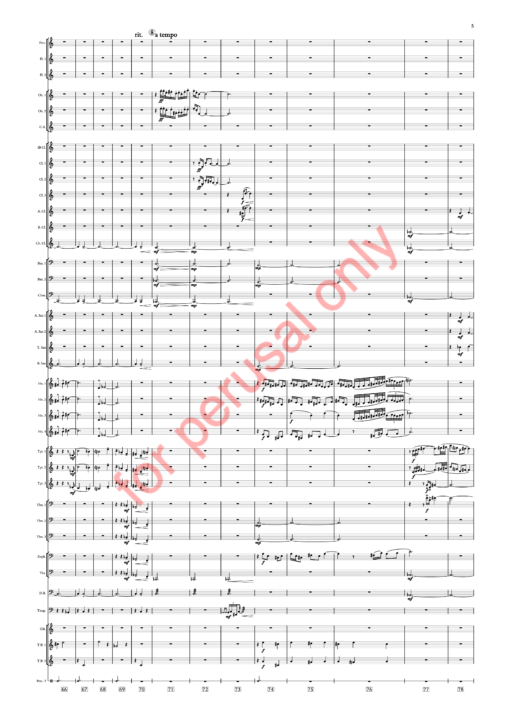 Sorcsek, Symphony No. 7