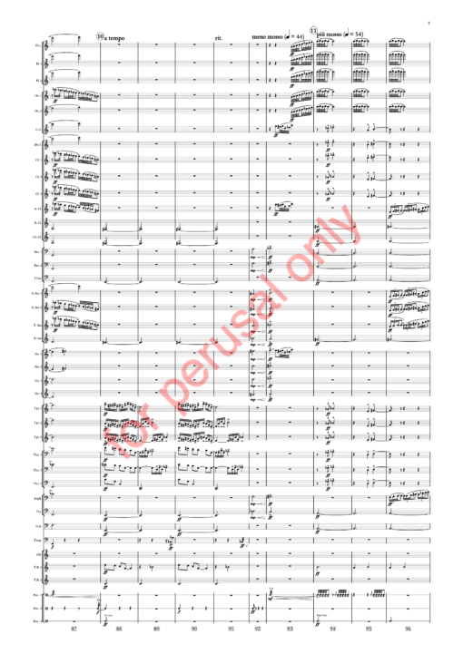 Sorcsek, Symphony No. 7